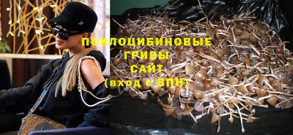 шишки Елабуга