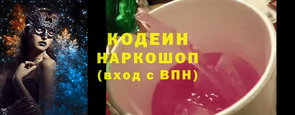 МДПВ Елизово