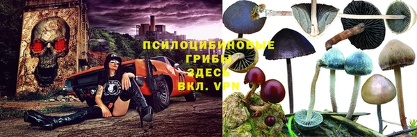 соль ск Заволжск