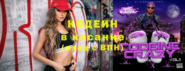 МДПВ Елизово