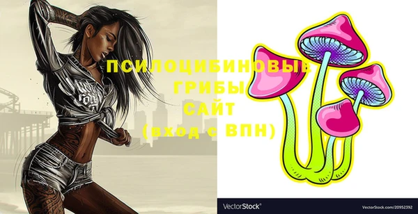 таблы Тайга