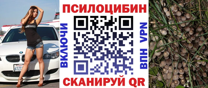 Псилоцибиновые грибы мицелий  Купить где  Скопин 